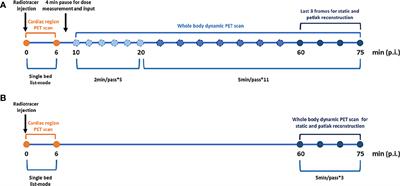 Improved Clinical Workflow for Whole-Body Patlak Parametric Imaging Using Two Short Dynamic Acquisitions